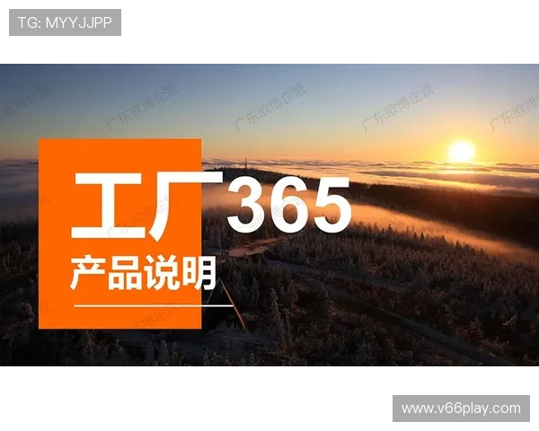 欧博数字站全面解析：最新游戏资讯与行业动态一站掌握